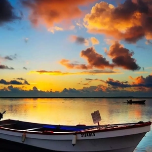 欧洲免费黄色录像
